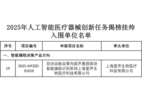 爱声-AI慧眼破局.png