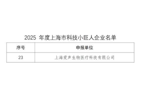 爱声-小巨人.png
